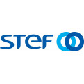 STEF
